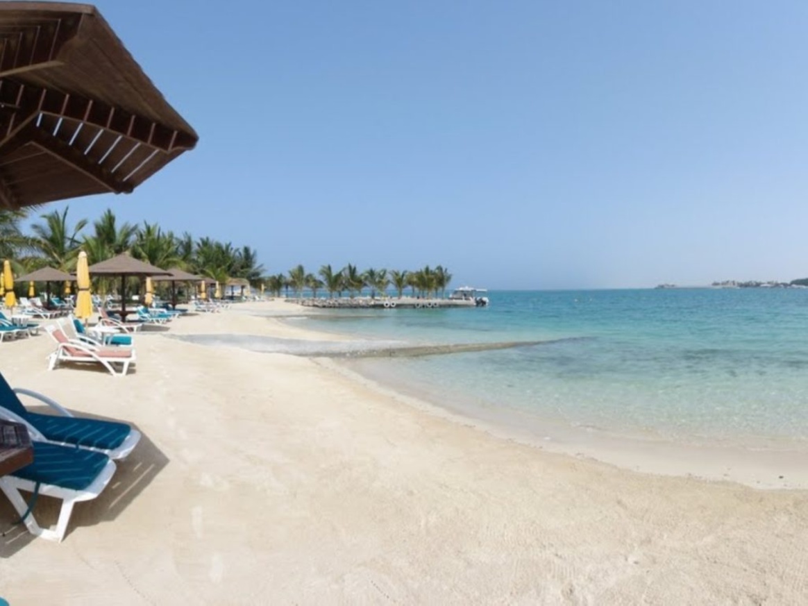 دراسة تلوُّث 117 موقعاً في شواطئ #جدة 
#معكم_باللحظة 

akh24.me/xxbO50Py3g8