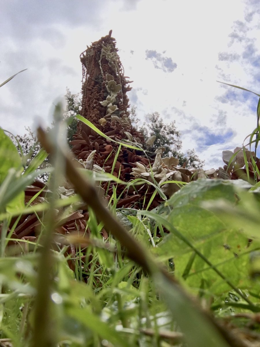 weppus's tweet image. Drouwen. #intonature23