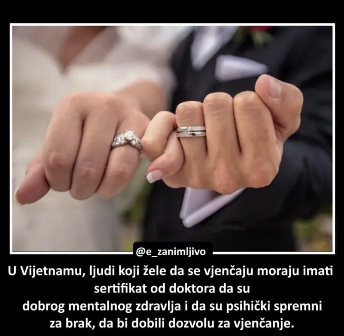 ministar_magije's tweet photo. Uvedite ovo, hitno je https://t.co/7K3kFbyqyp