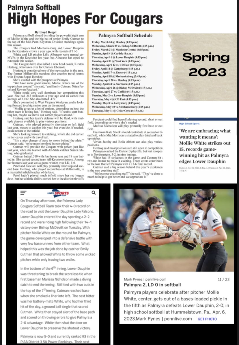 Palmyra HS Softball tweet media