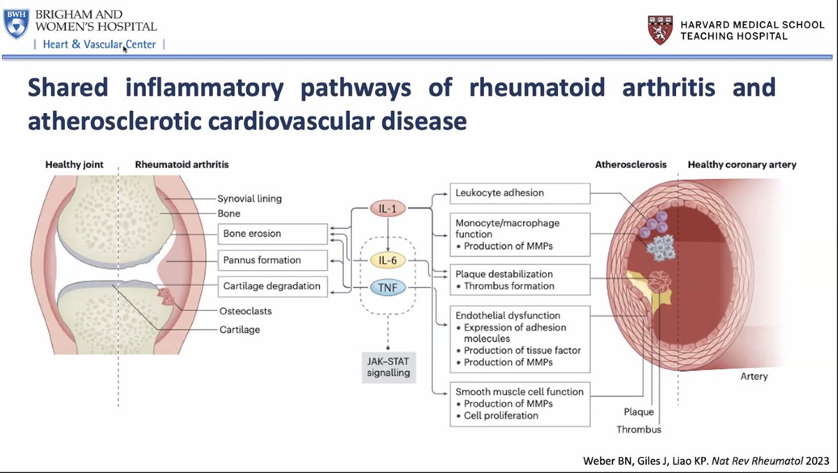 khurramn1's tweet photo. Exploring #CardioRheum with @Bweber04 
🩺 Unveiling Inflammatory Conditions &amp; CV Risk Pathways 
🚀 #RiskEnhancers fueling accelerated atherosclerosis 
🔍 Imaging: New Frontier for Early Disease Detection #SeeDiseaseTreatDisease 
 
@RonBlankstein #CardiovascularHealth #CuttingEdge https://t.co/ojL39sFjvS