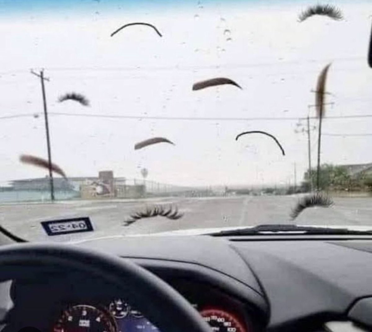 urucania_'s tweet photo. Alguns minutos de vento na zona oeste e olha como ficou o pára-brisa do carro 😂 https://t.co/nXTCwT5iyy
