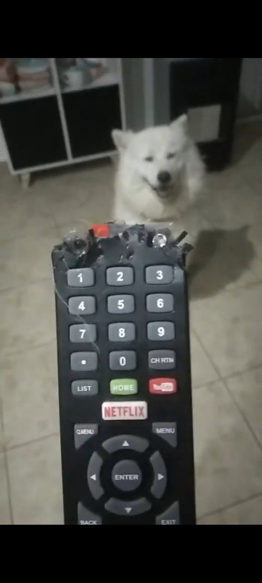 AsksSupport's tweet photo. @atr_ahre Me comieron el control del tele😂 https://t.co/nbWq9uwm6O