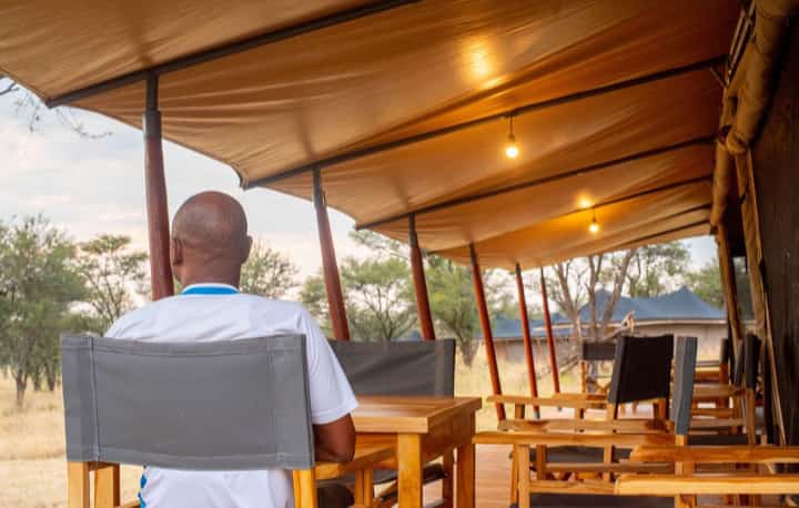 Golden Safari Camps tweet media