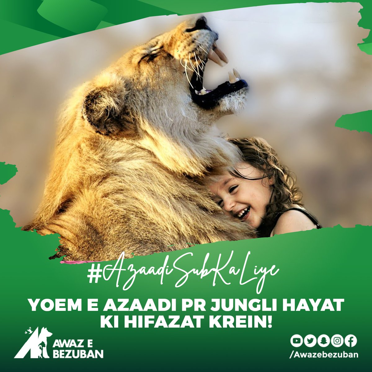 Amidst the celebrations of Pakistan's Independence Day, let's also celebrate the freedom of our wild companions! 🌿🐾 Join hands with us to safeguard wildlife, just as we cherish the freedom of our nation. Together, we become their voice, and protecting their habitats. 🦁🌳