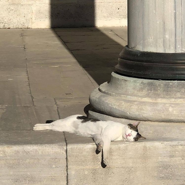 poetical photos. (@poeticalphotos) on Twitter photo 