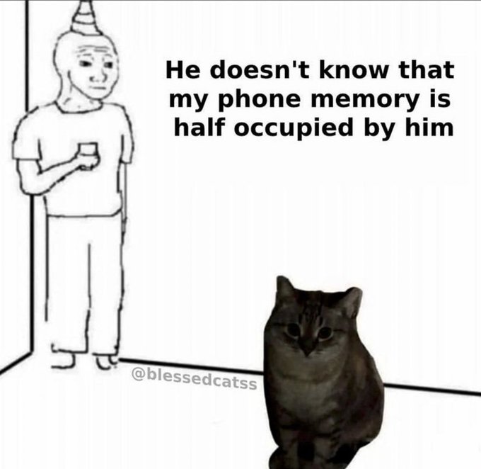 positive side of X 🌞 tweet media