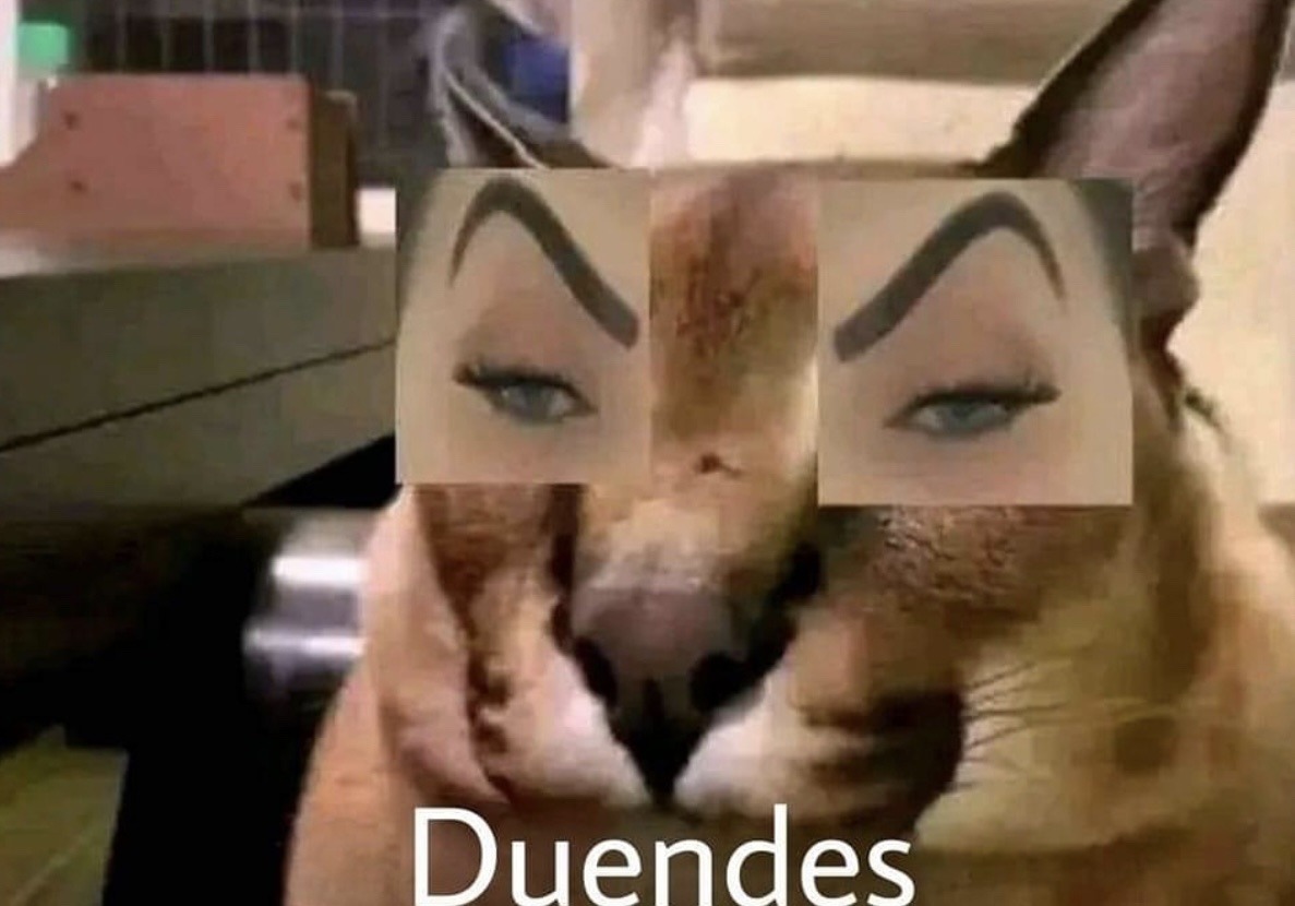 DrSylveonPsyq's tweet photo. *se me pierde cualquier cosa*

Mi TDAH que me niego a tratar: https://t.co/SVDH5ajil2