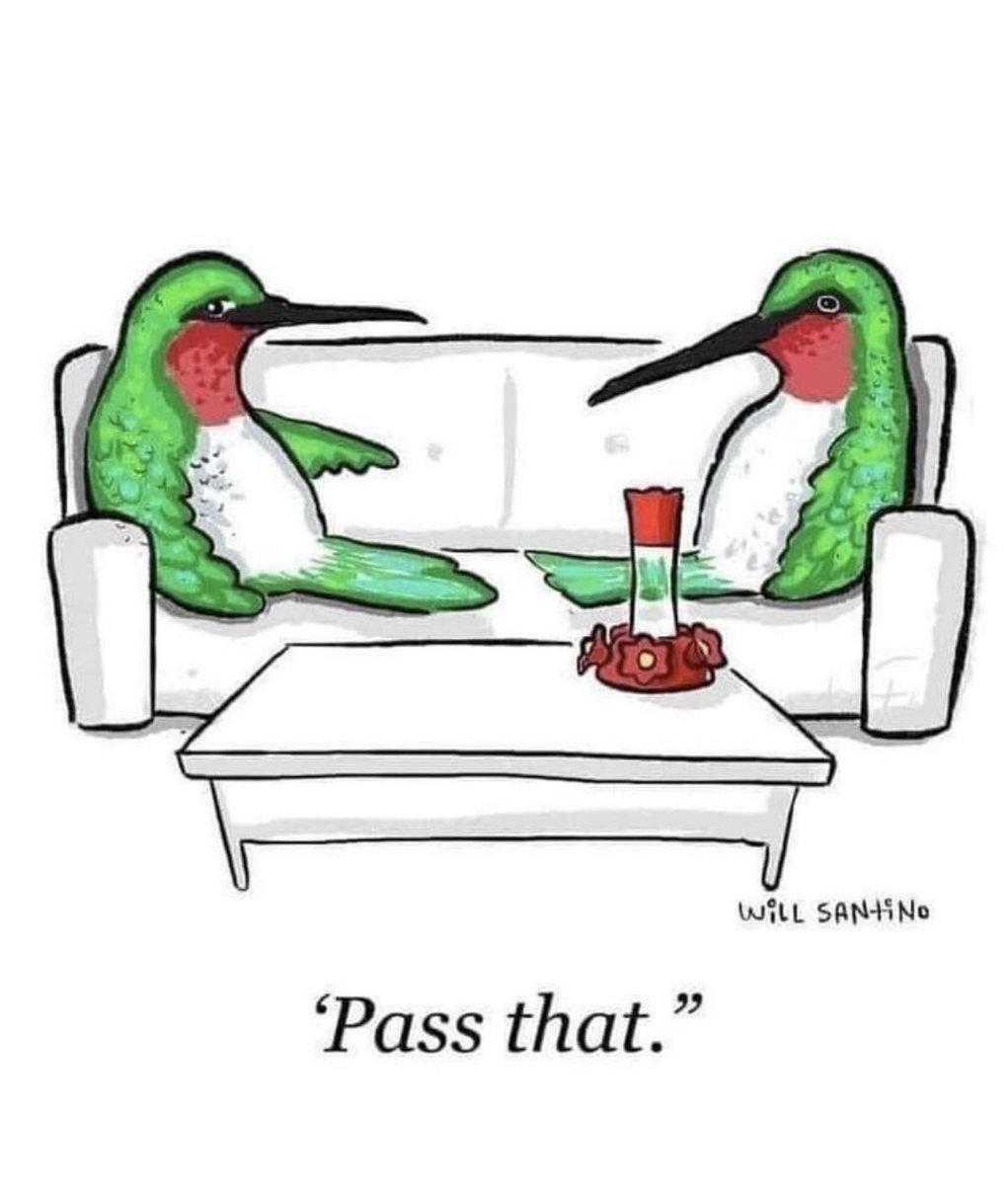 new drops all august has us like… 

#canadiancannabis #cannabiscommunity #montrosetv