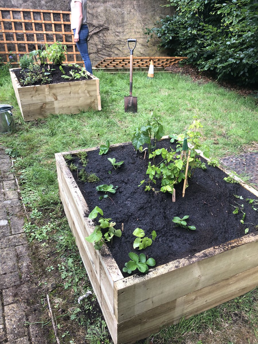 Thanks to a successful funding bid from <a href="/Keep_Wales_Tidy/">Keep Wales Tidy</a> the garden at Wrexham artificial limb centre has 2 new raised beds, a beautiful trellis &amp; lots of exciting new plants to grow! @GlyndwrOT #otstudent #accessiblegardening #naturebasedtherapy #takerehaboutside #gardenproject