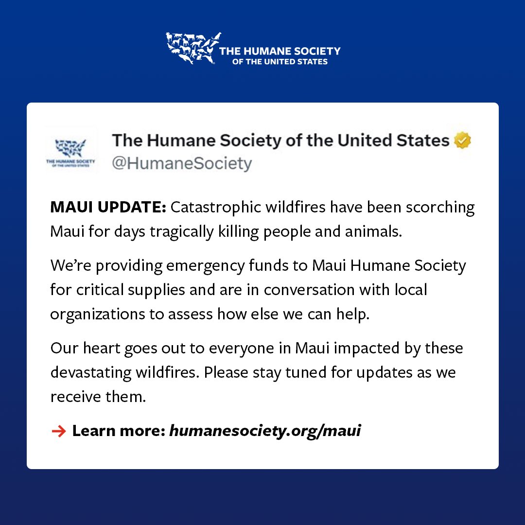 humaneworldorg's tweet photo. https://t.co/AOMAuOdJEQ
