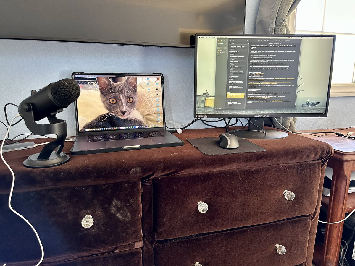 Emotional Sobriety Podcast tweet media