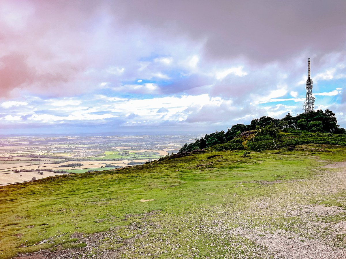 Olivia Wild tweet media