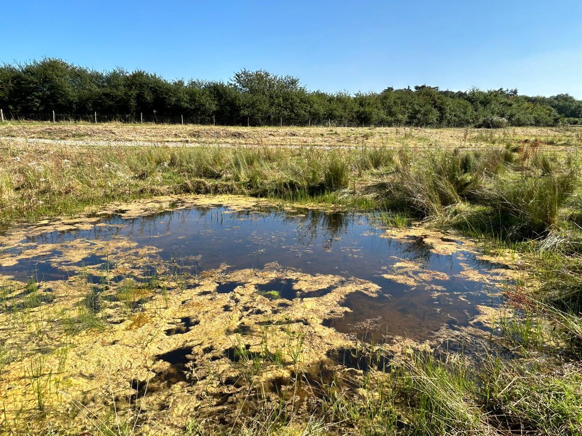 Rebecca Pow tweet media