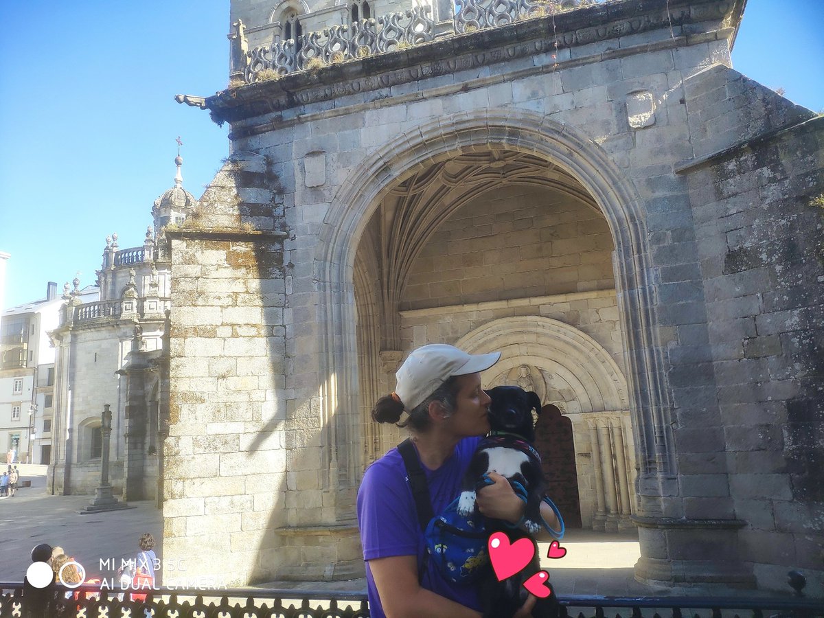 imgende's tweet image. Y dejo por aquí una foto para el #hiloveraniego del #claustrovirtual, que no se diga que no colaboro...
 😏