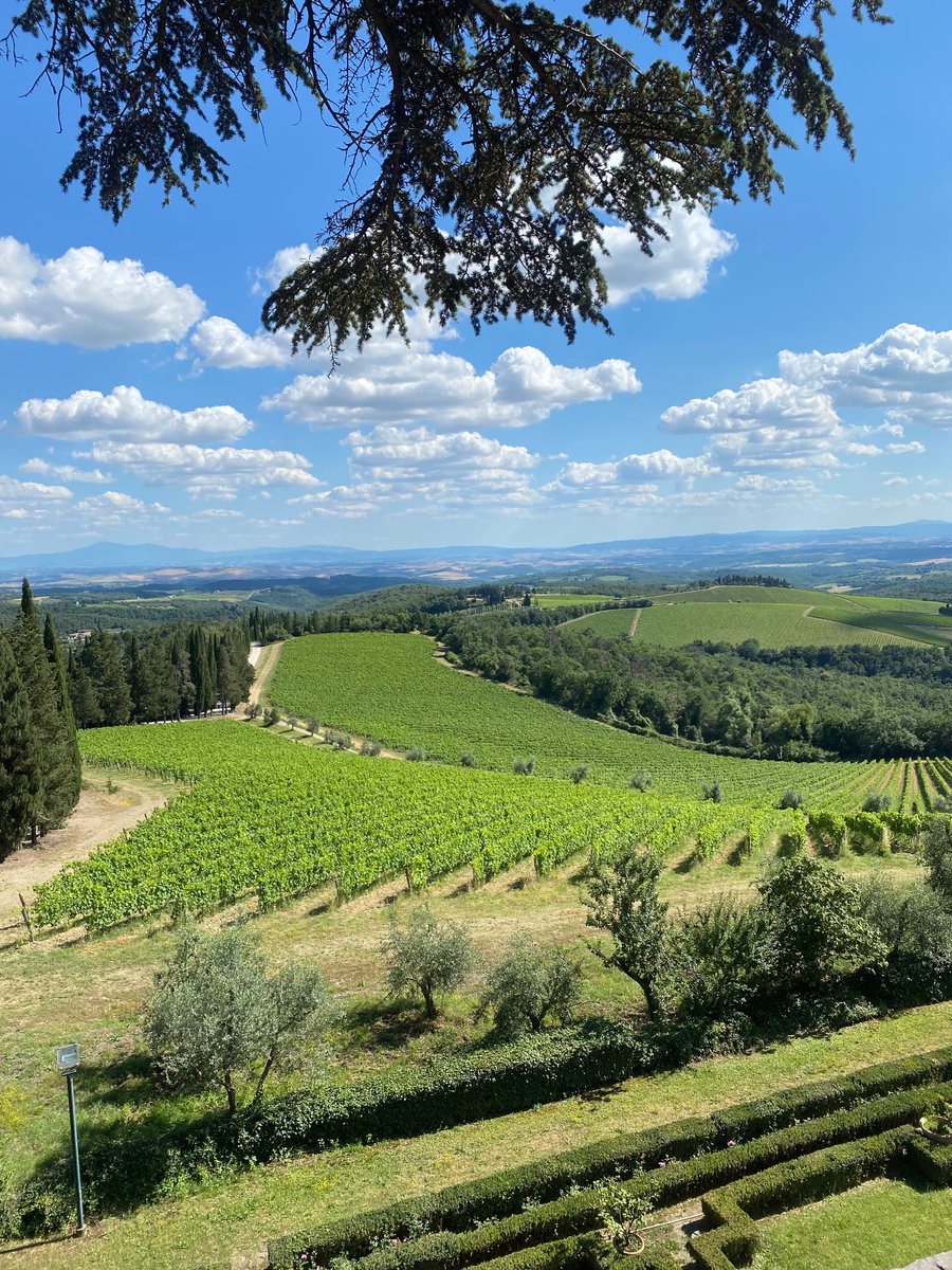 jo.vindelavin tweet media