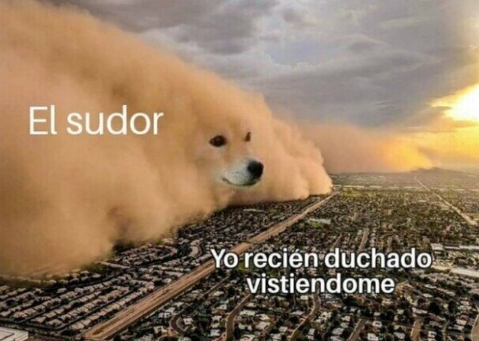 skereunpesado's tweet photo. https://t.co/IKkpkTfTmC