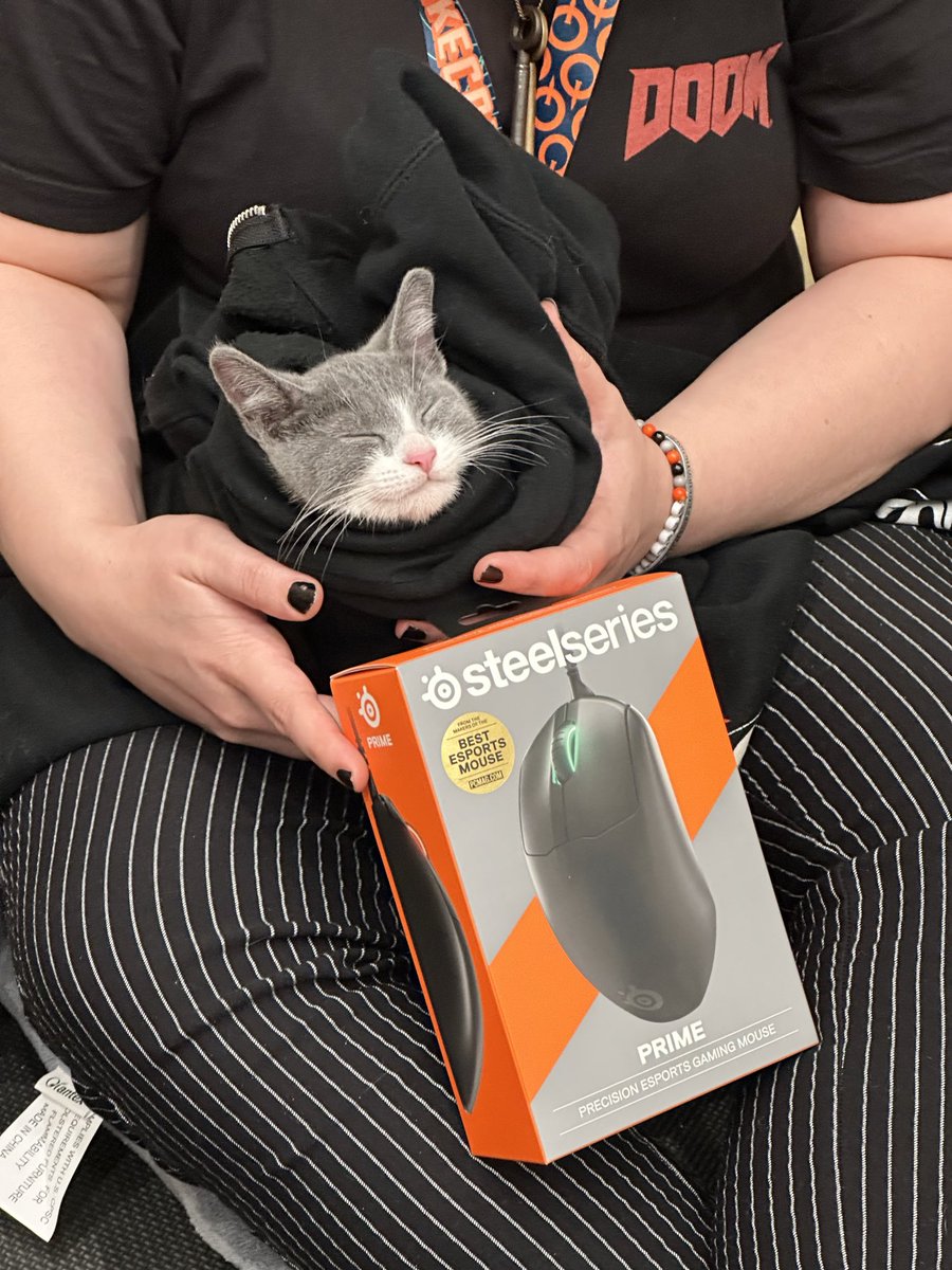 SteelSeries's tweet photo. @DallasPetsAlive @QuakeCon I’VE BEEN INFORMED 🐱ROO🐱 IS STILL LOOKING TO FIND THEIR FOREVER HOME

I MEAN COME ON

#QuakeCon https://t.co/7ceJRJL3ch