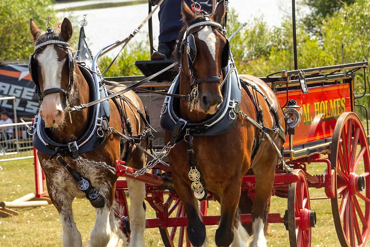 Days Out Yorkshire tweet media