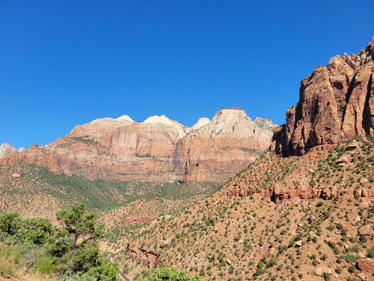 Laura Corey tweet media