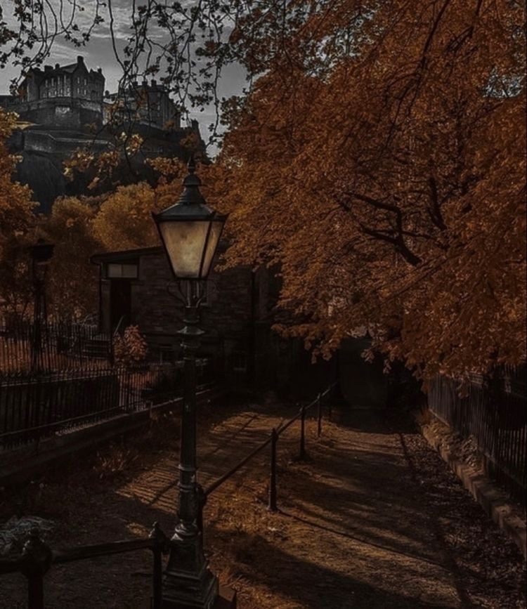 poetical photos. (@poeticalphotos) on Twitter photo 