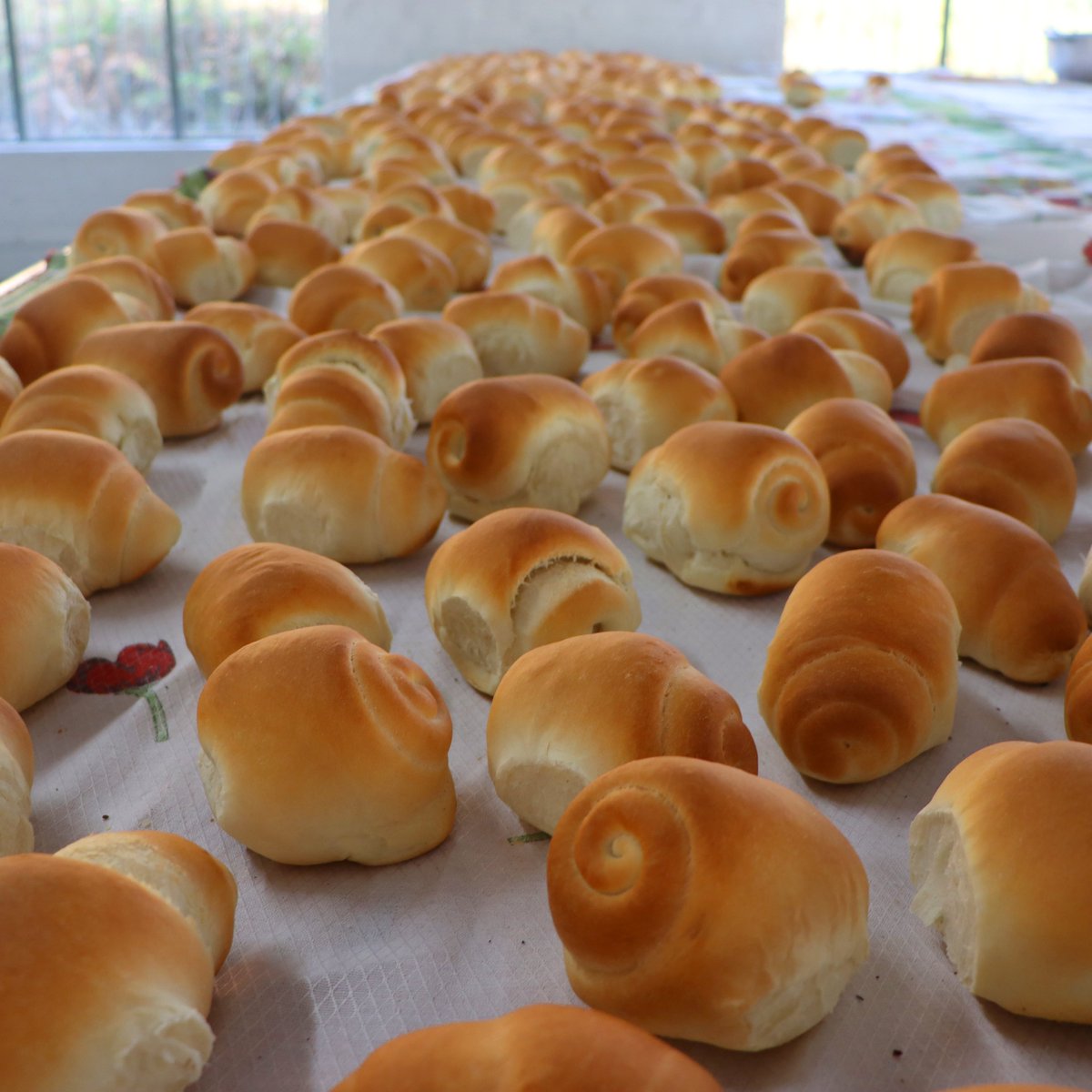 marisol_santoss's tweet photo. A ação das Cestas Solidárias dos Pais foi um sucesso. Que alegria participar mais uma vez! Ontem ajudamos na embalagem dos pães (deliciosos, aliás!) e hoje estive desde cedo na entrega das cestas nos Capuchinhos. https://t.co/3Ex11K8I56