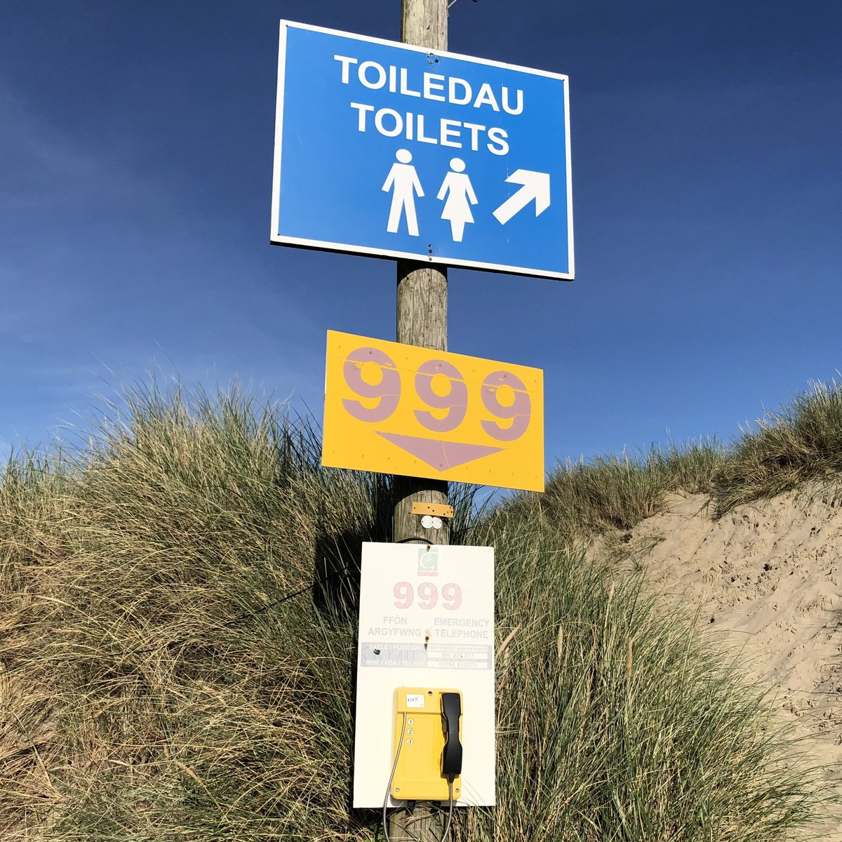 BenAtkinsDesign's tweet photo. Toiledau. Black Rock Sands, Morfa Bychan, North Wales.
@DesignMuseum #FontFriday #wayfinding https://t.co/ceLo0c9TmV