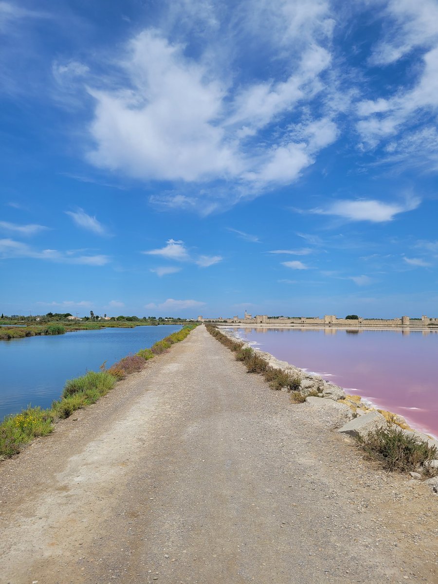 lenourok's tweet photo. Les salins d'Aigues-Mortes 🐋🧂🩷
#Travel
#travelphotography
#travelblogger
#AiguesMortes
#Salins
#PinkWater
#France
#Camargue
#Gard
#Occitanie
#photography
#photooftheday
#NatureBeauty
#NaturePhotograhpy https://t.co/5suDyWRZ0E