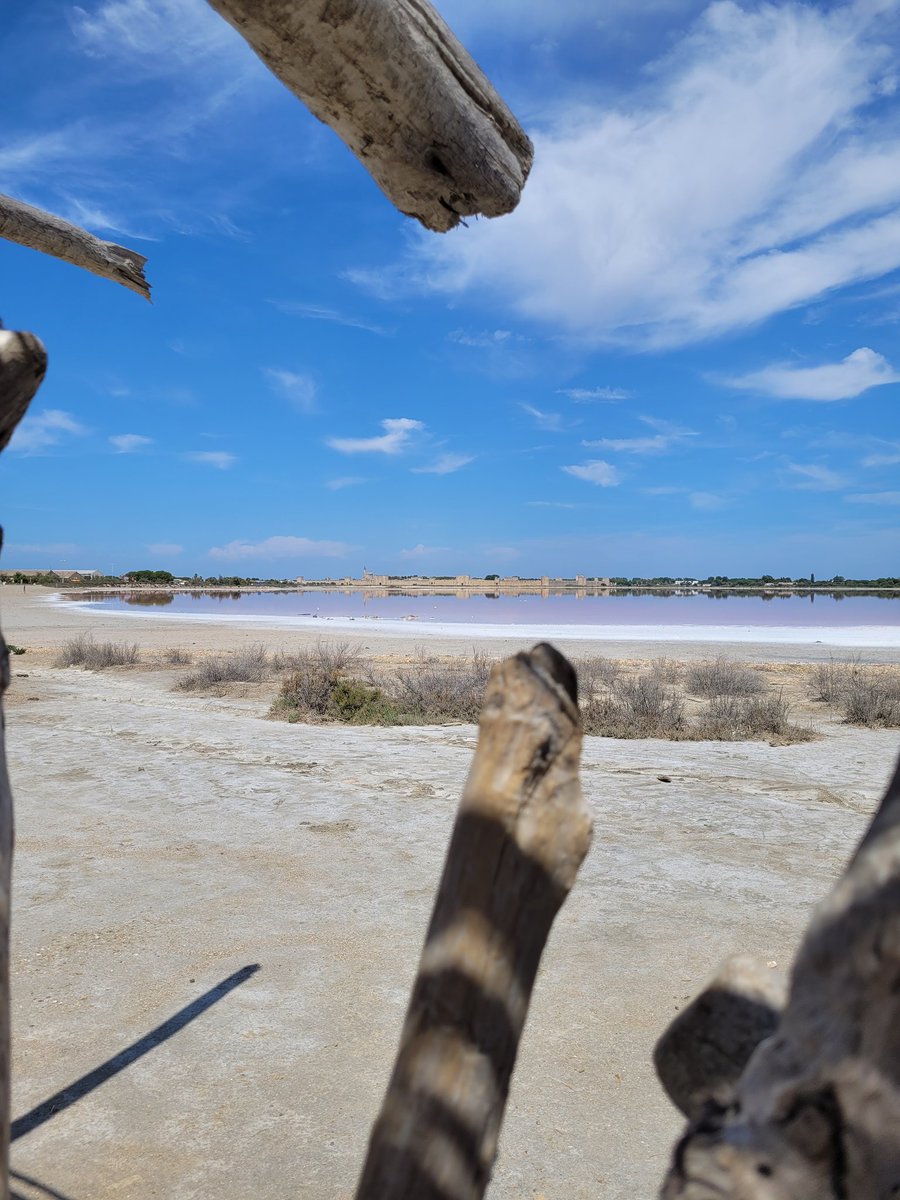 lenourok's tweet photo. Les salins d'Aigues-Mortes 🐋🧂🩷
#Travel
#travelphotography
#travelblogger
#AiguesMortes
#Salins
#PinkWater
#France
#Camargue
#Gard
#Occitanie
#photography
#photooftheday
#NatureBeauty
#NaturePhotograhpy https://t.co/5suDyWRZ0E