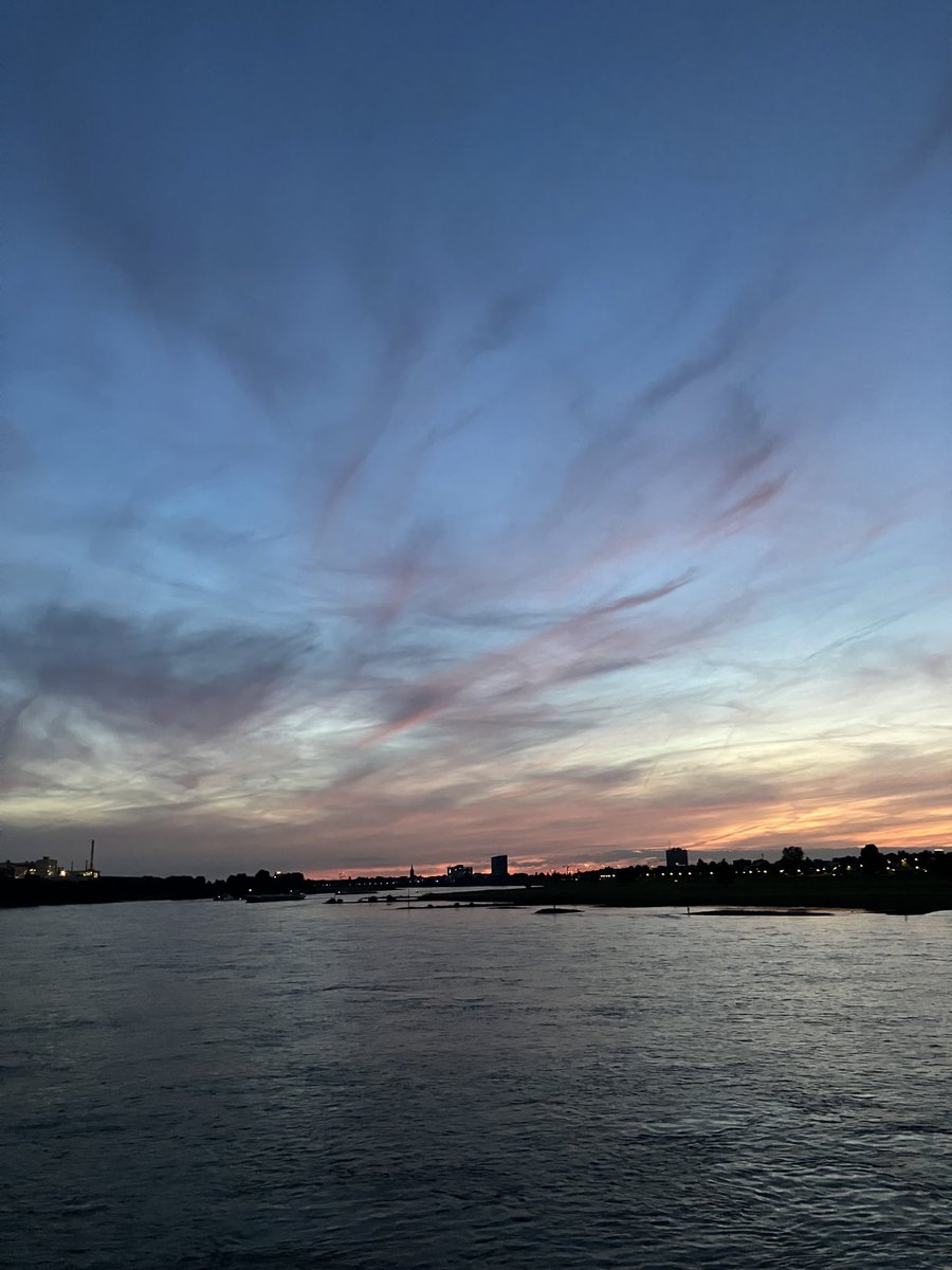 Preisfrage wann schwimmt sie endlich im Rhein