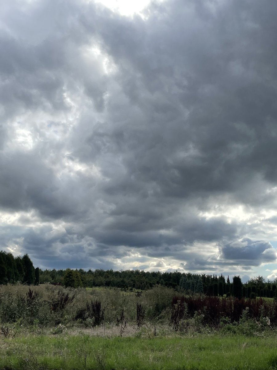 Chris_Brussels's tweet photo. Evening mood. #Rheinhessen. #Drais #Finthen #Mainz #Germany 🇩🇪 #saturdayvibes #photography https://t.co/6cbVFhYFO7