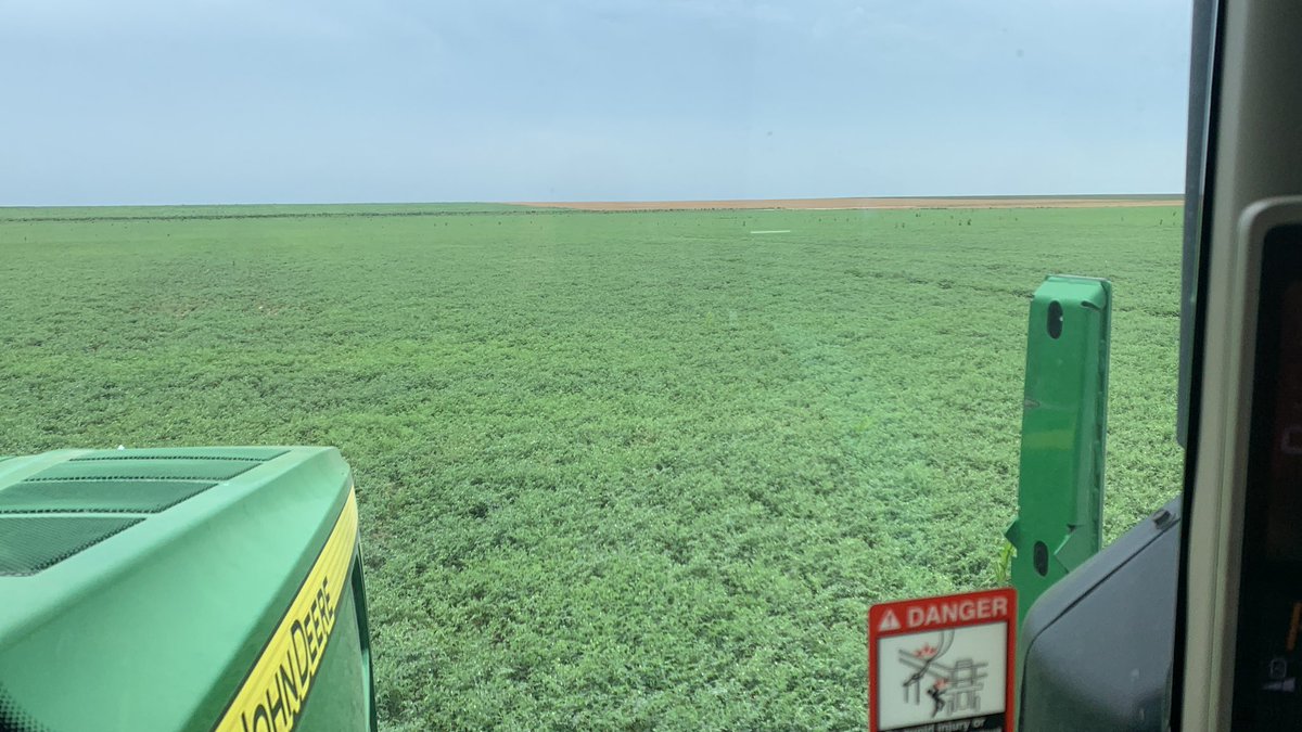 They look better once i got out on them

##2023garbonzo.