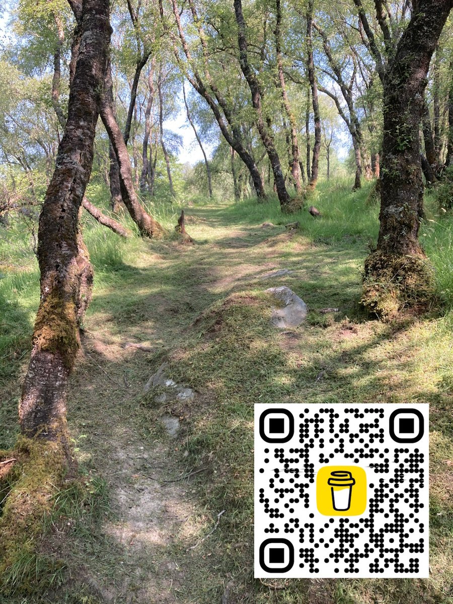 Stronafian Community Forest tweet media