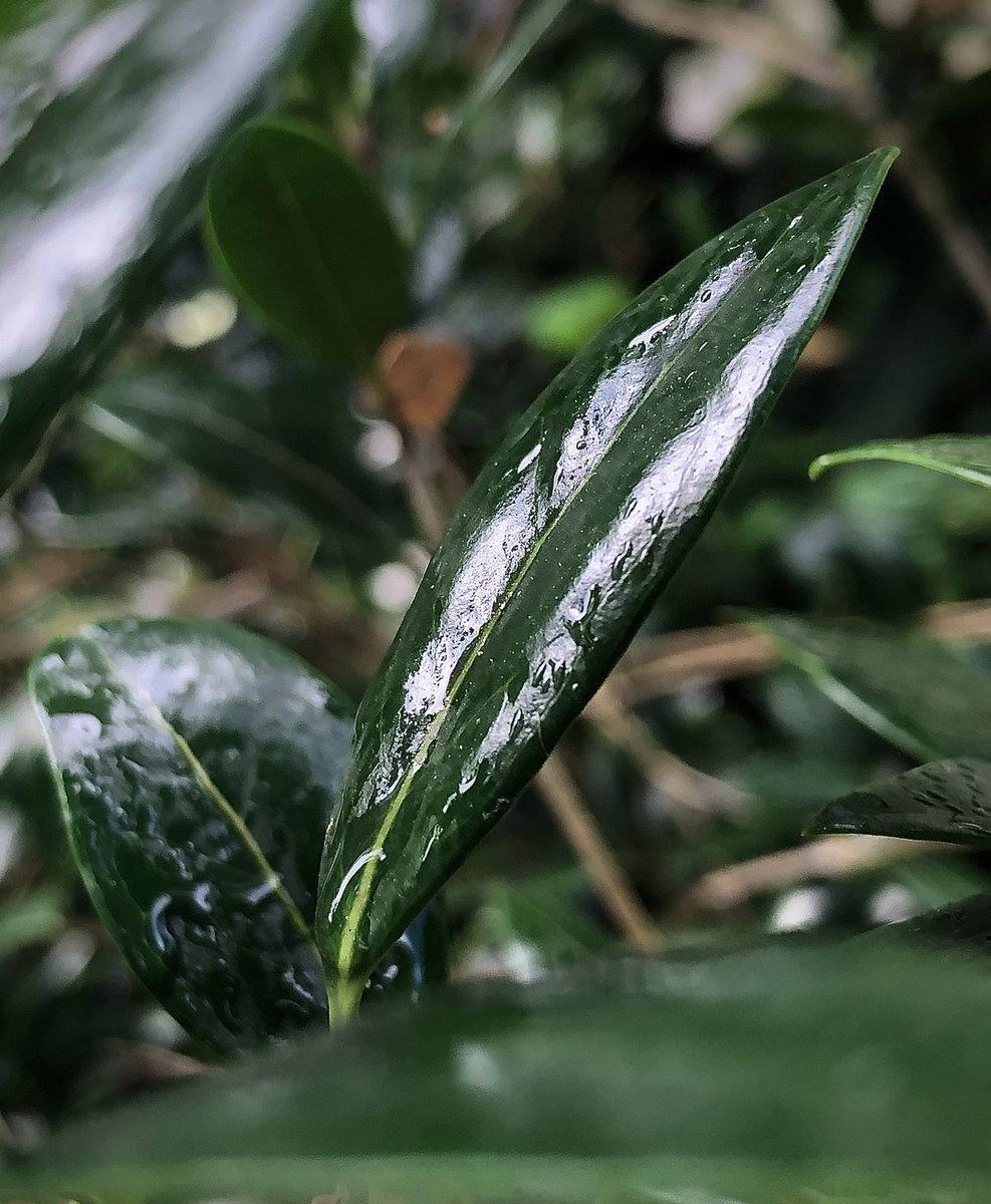 c4photography_'s tweet photo. If you liked this picture please follow for more. #photography #outdoors #grumpyletmeln #PictureOfTheDay https://t.co/I1WiK37Sln