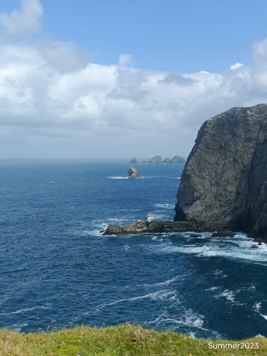 Mar Cafferkey tweet media