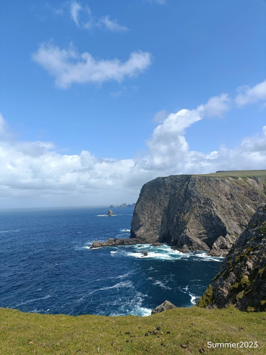 Mar Cafferkey tweet media