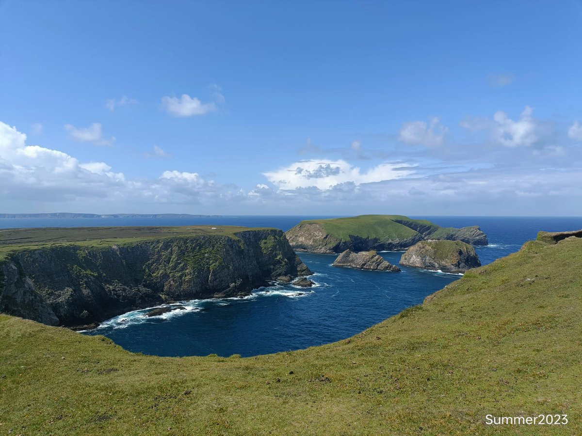 Mar Cafferkey tweet media