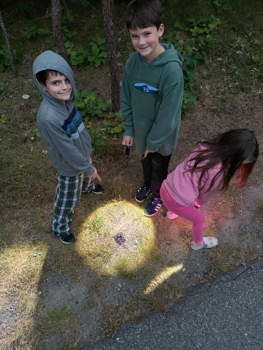 FindsPoop's tweet photo. The Ruby Hunter, the Princess, and the Poop Comber out for an evening poop find. https://t.co/jdzKibS239