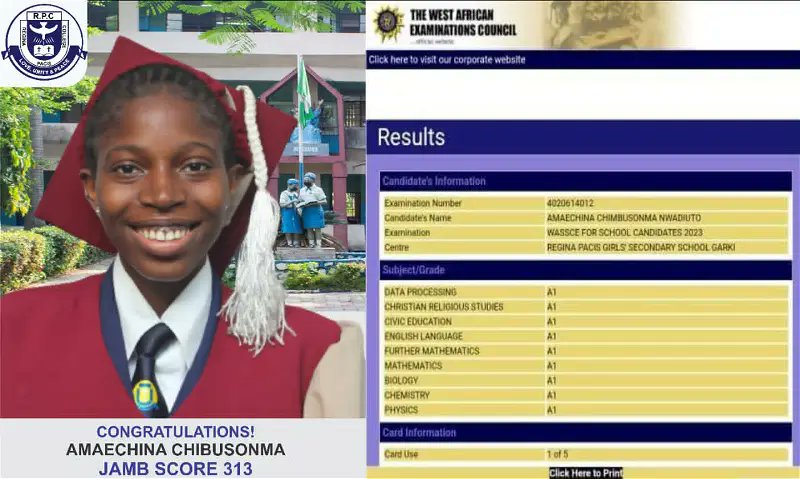 Meet Amaechina Nwadiuto.

The 16-year-old Amaechina Chimbusonma Nwadiuto from Anambra state, is the highest scorer in this year's WAEC Examination. She had A1 in all nine subjects. She also scored 313 in JAMB. 

Let's Retweet to celebrate her!