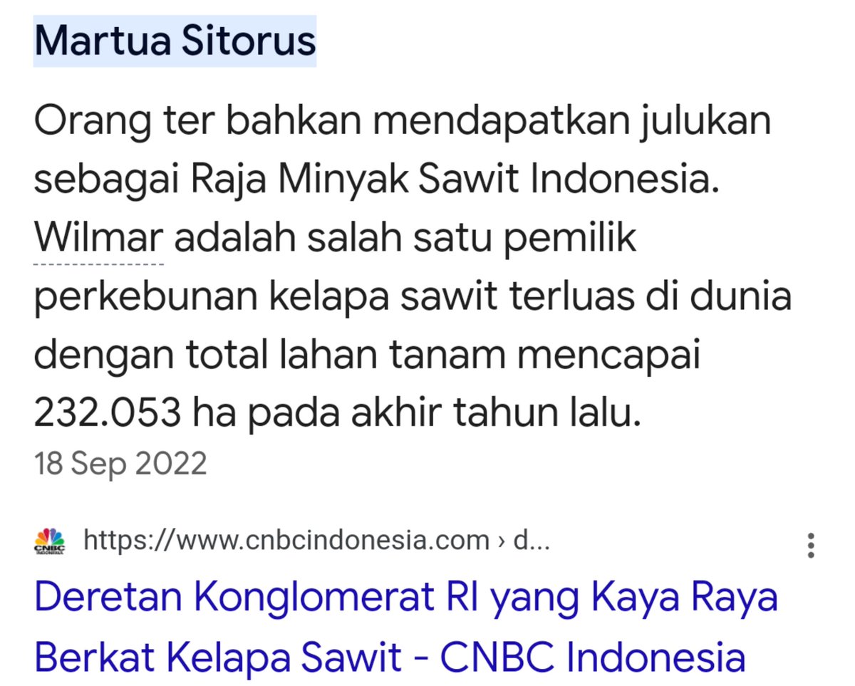 Si Raja Sawit ini dgn luas lahan 232.053 ha (yg tercatat), ini setara 3,5x luas DKI 😟☺