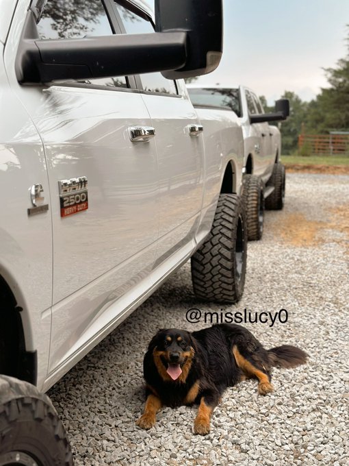 My babies <3. Plus like 10 more https://t.co/XNxAiYXnCl