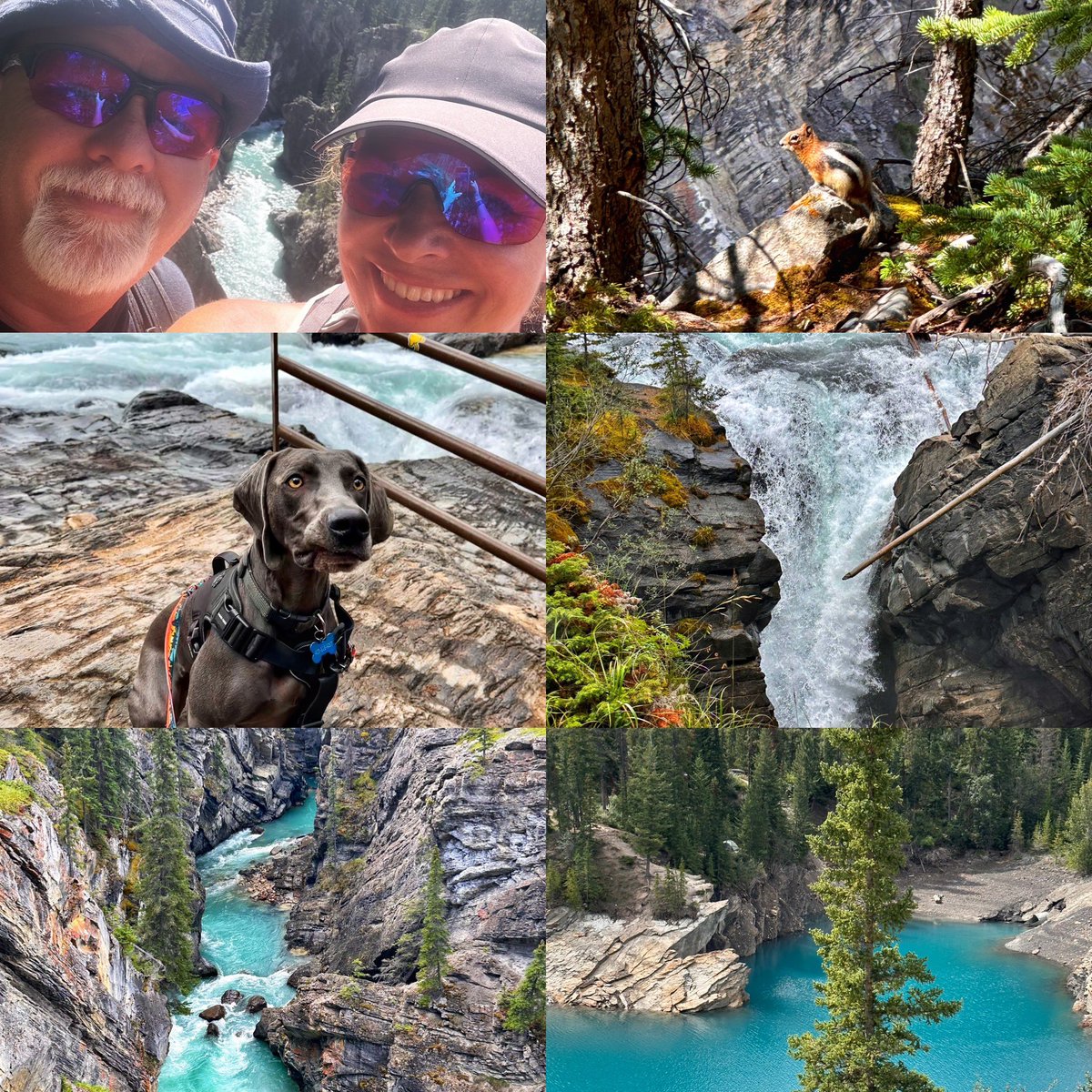 Nancy Toso tweet media