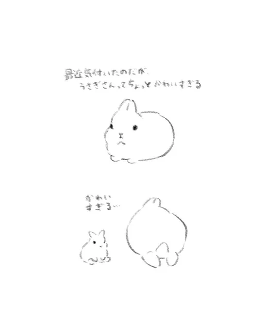 これはうさぎ