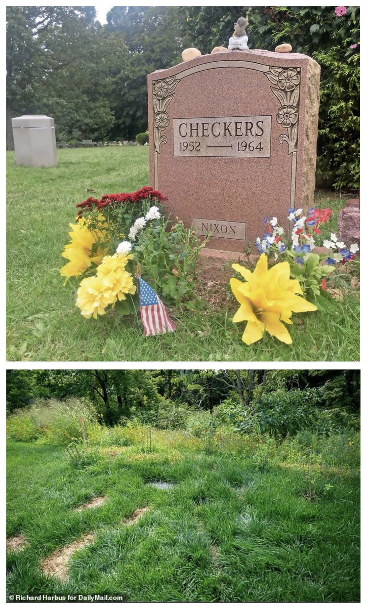NotHoodlum's tweet image. Nixon’s dog Checkers’ grave. 

Trump’s first wife Ivana. 👇