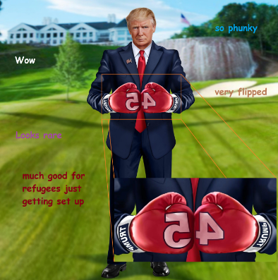 Phrumps tweet media