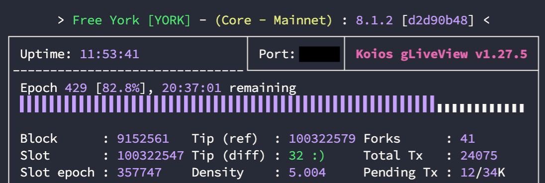 𝙁𝙧𝙚𝙚 𝙔𝙊𝙍𝙆 • Cardano Stake Pool tweet media