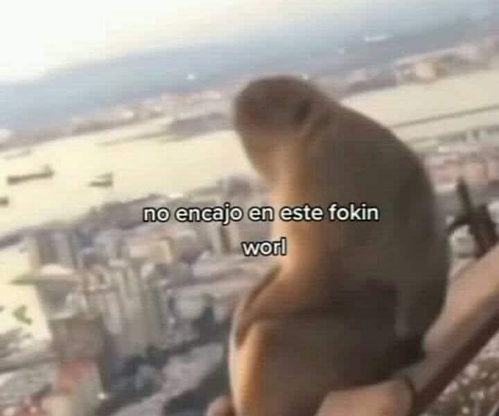 Cuando no me sale bien la más mínima cosa.

Automáticamente yo: