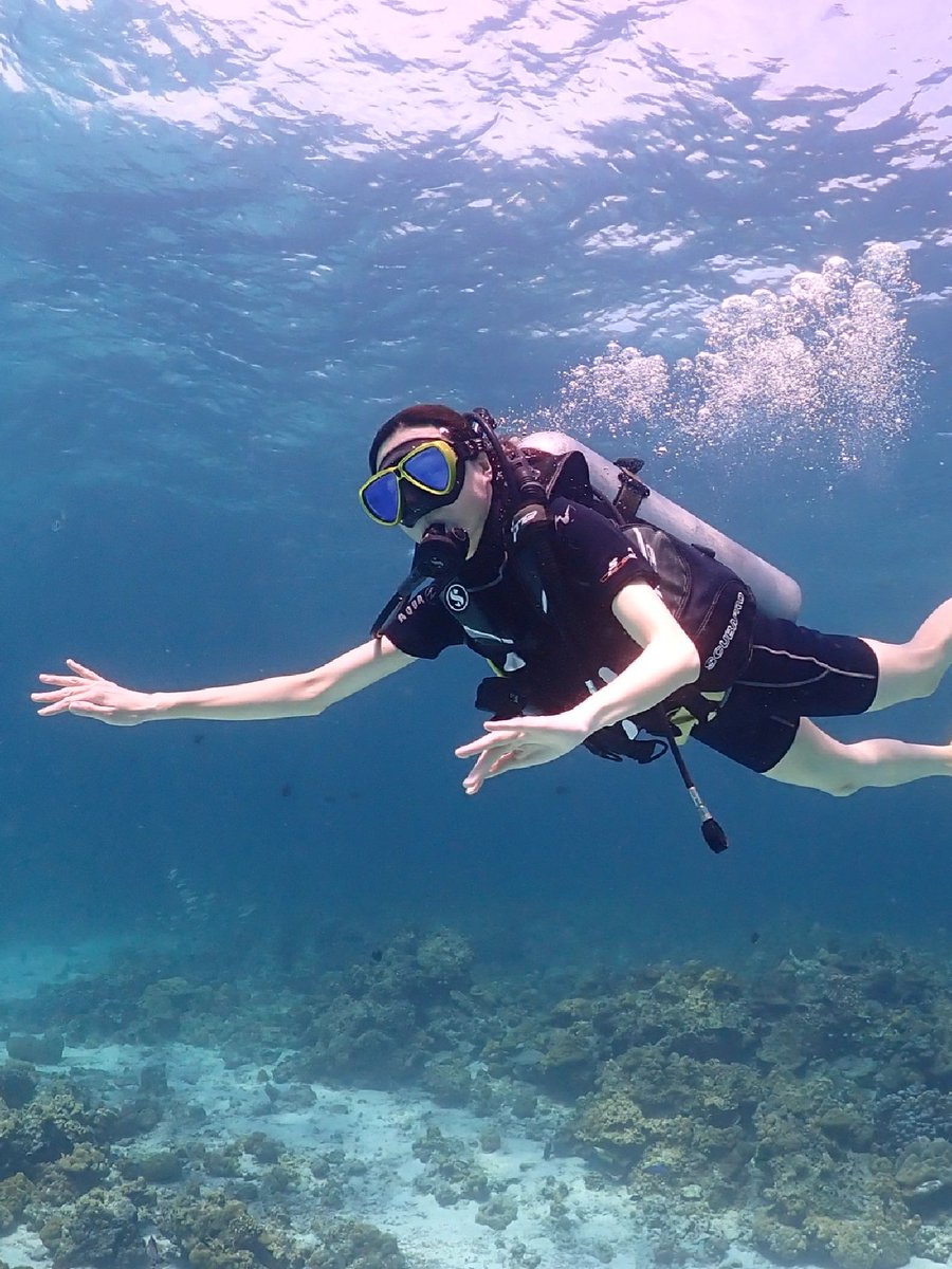 MaryDiving's tweet photo. Swim in the embrace of the ocean and get in touch with the underwater world. Dive into the embrace of the deep sea and discover endless surprises and colorful marine life
#duiken #tips #veiligheid #duikbril #duikpakken #cylinders #duikposities #zeeleven #oceanen https://t.co/yKj2NAygJ1
