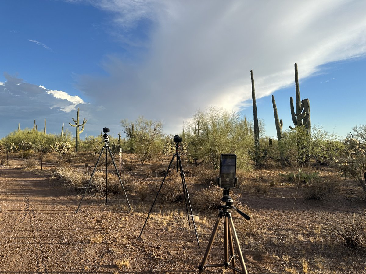 Andrew McCarthy tweet media