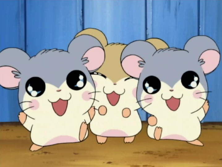 햄토리에 햄비니 나오는 거 알았던 사람? 얘네 세쌍둥이 아기 햄스터인데 영문 이름이 Hambini 래 ㅁㅊ 너무 코엽고 신기해서 정신을 잃고 쓰러짐 아니 진짜로 한비니랑 햄스터랑 뭔가 있음 얘들아 . . (•̥̀ ̫ •̥́)